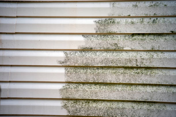 Affordable siding repair and maintenance services in Twinsburg, OH