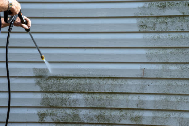 Best Engineered Wood Siding  in Twinsburg, OH