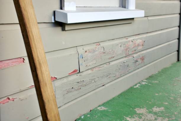 Best Siding Painting and Refinishing  in Twinsburg, OH